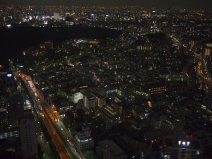 View from Park Hyatt Tokyo